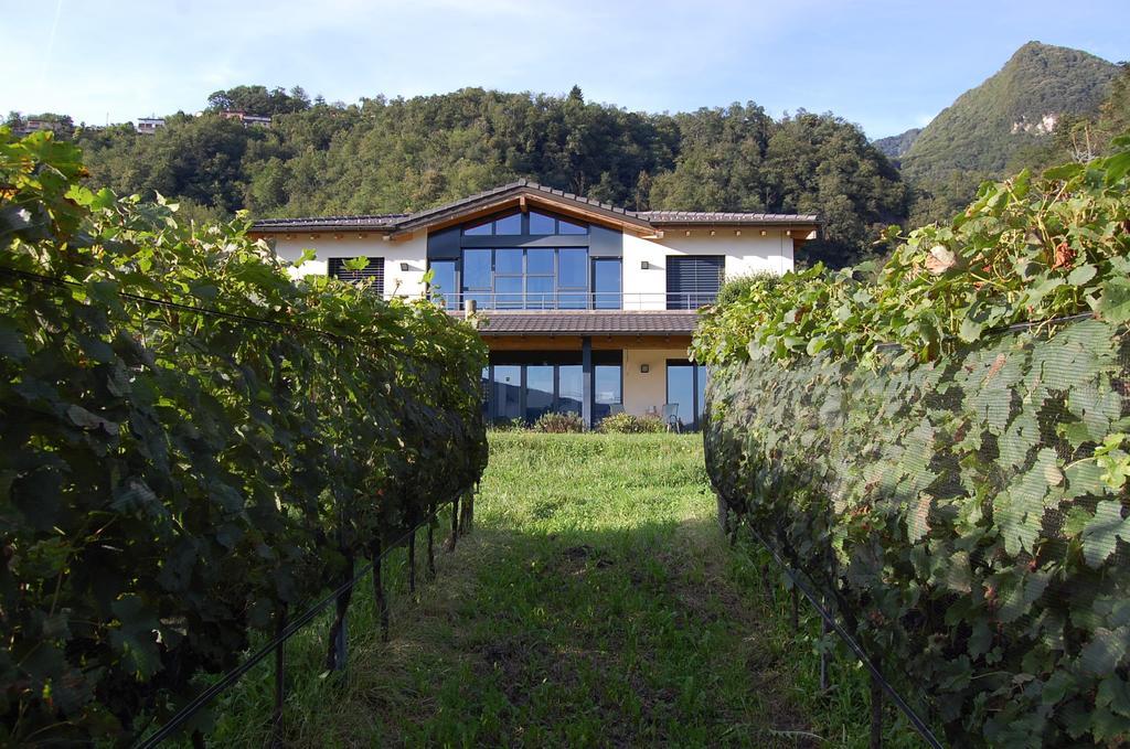 B&B Il Vigneto Melano Buitenkant foto