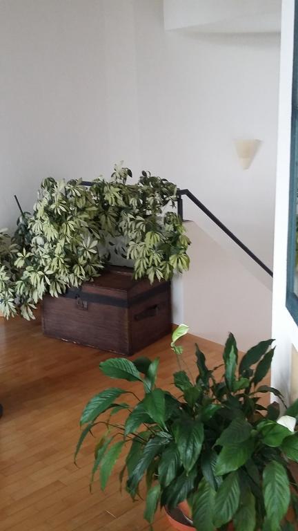 B&B Il Vigneto Melano Buitenkant foto